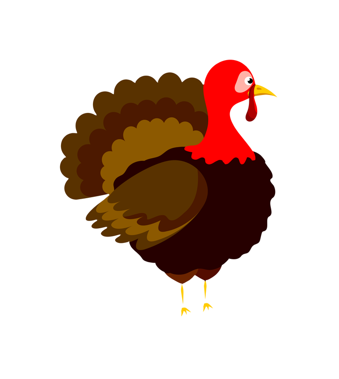 You Only Like Me For My Breasts Thanksgiving Turkey Poster