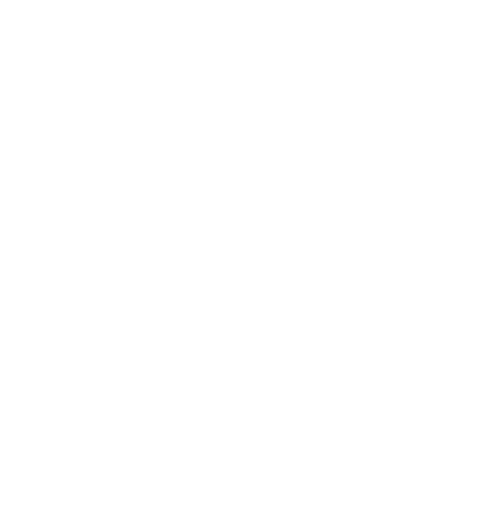 My Broomstick Runs On Wine Button