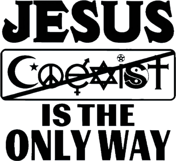 Mall Of America Jesus Saves Jesus Is The Only Way CHRISTIANITY Christain T-Shirt
