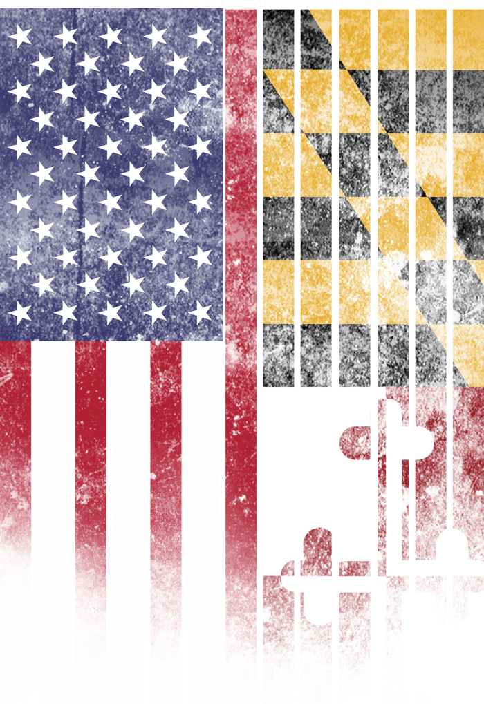 USA Maryland Flag T-Shirt