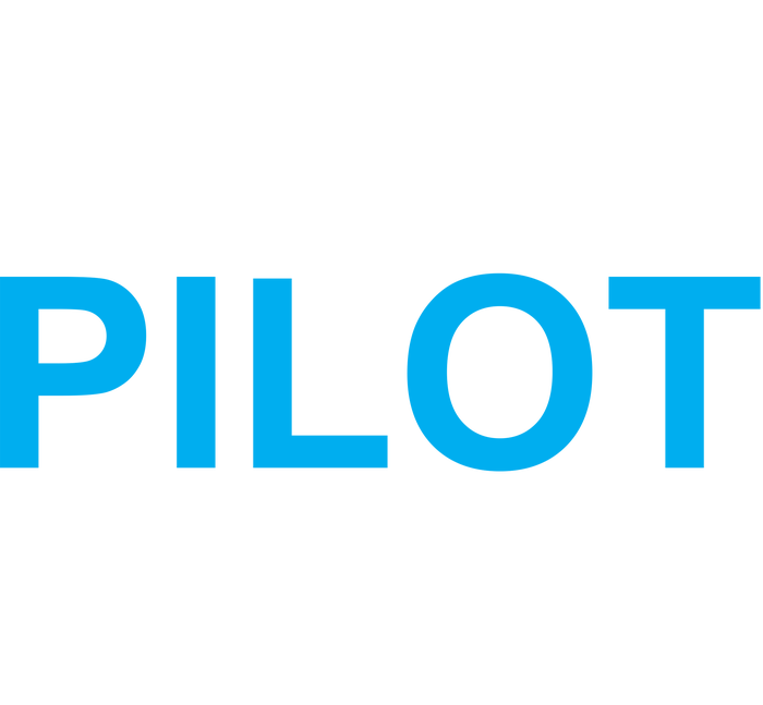 I Never Dreamed I'd Be A Sexy Pilot T-Shirt