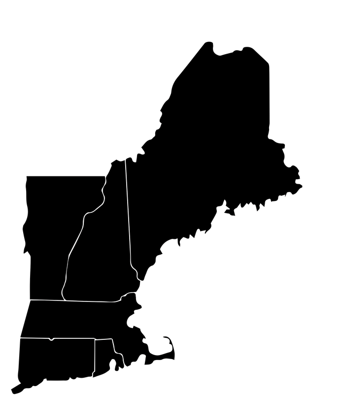 New England Because Old England Was Wicked Stupid Kids T-Shirt