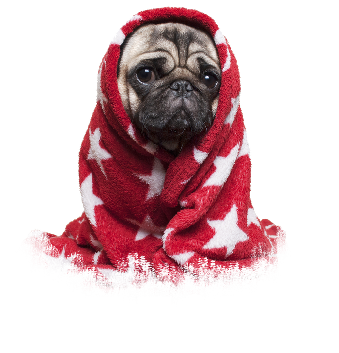 Not Today Funny Pug Long Sleeve Shirt