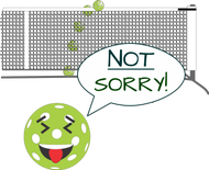 Pickleball Sorry Not Sorry Wool Snapback Cap