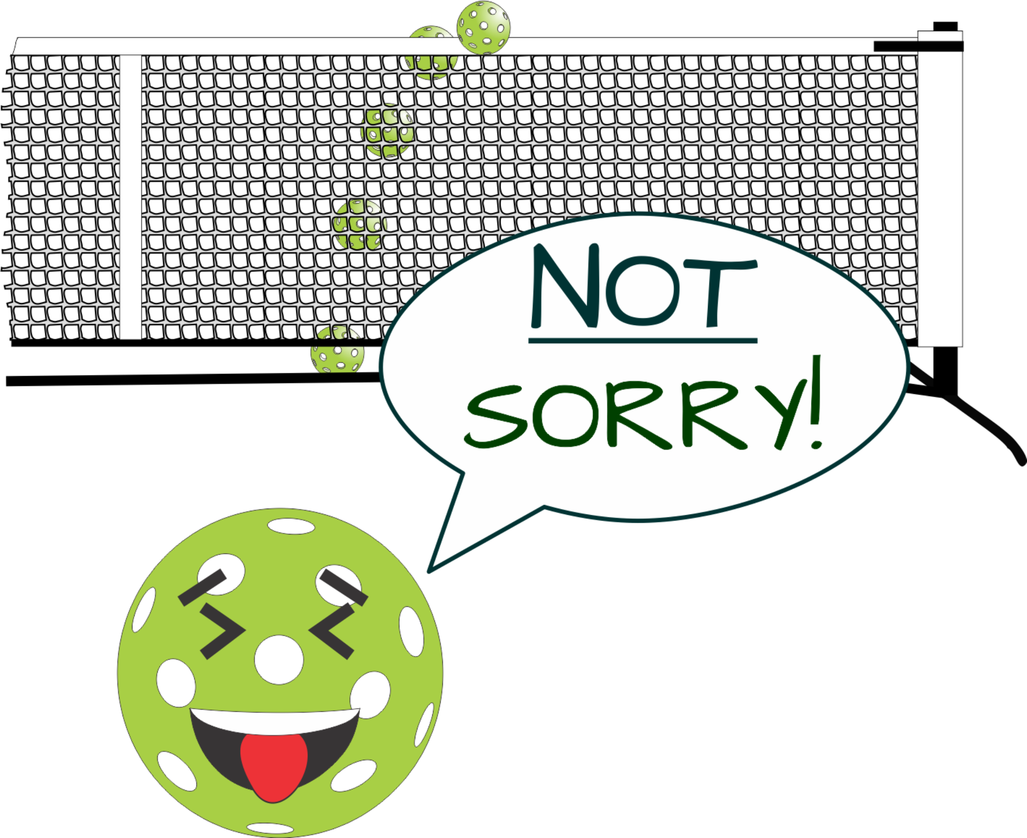 Pickleball Sorry Not Sorry Santa Hat