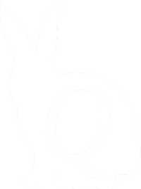 Q-anon Rabbit Logo T-Shirt