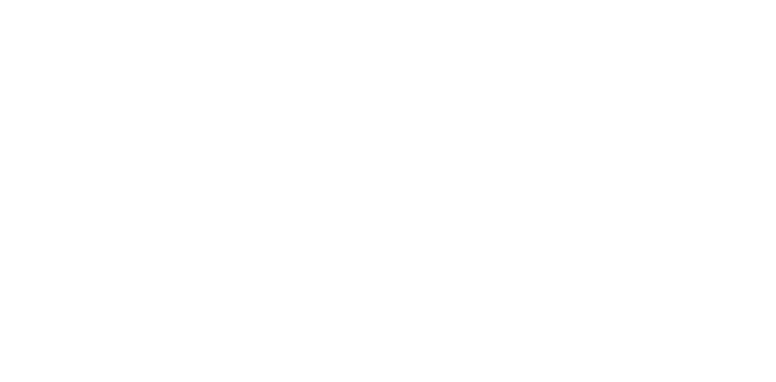 Shenanigator A Person Who Instigates Shenanigans Button