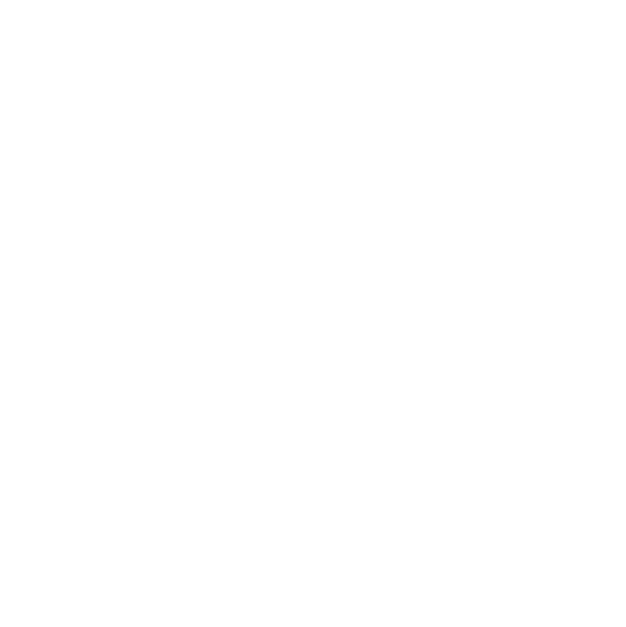 Straight Outta Pleasant Park Premium T-Shirt