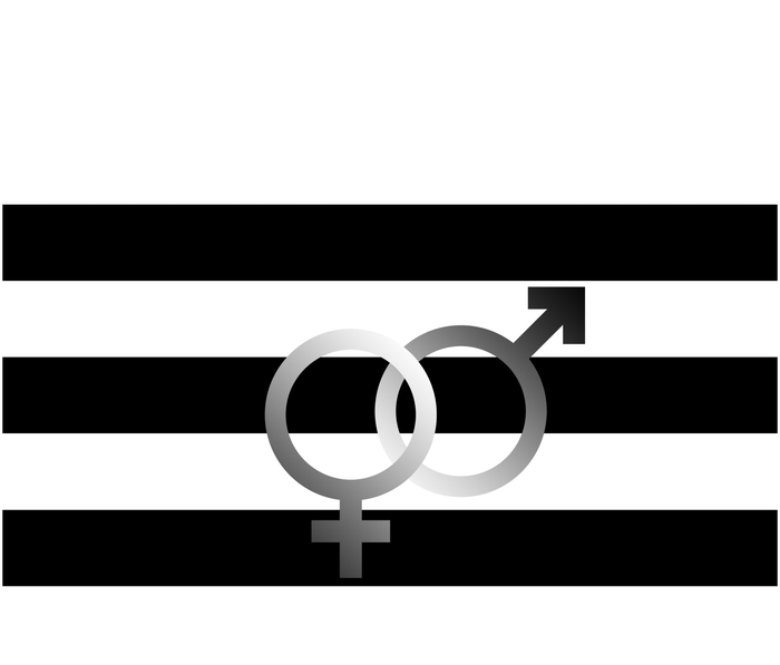 Straight Pride T-Shirt