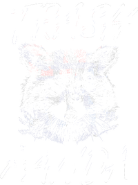 Trash Panda Funny Raccoon Long Sleeve Shirt