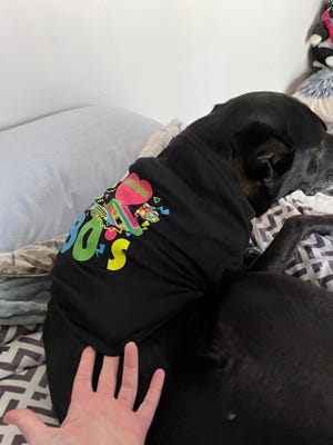 T-Shirt Palace Review