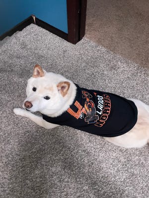 T-Shirt Palace Review