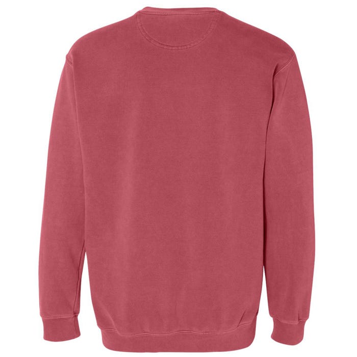 Book Reading Teacher Librarian Reader Garment-Dyed Sweatshirt