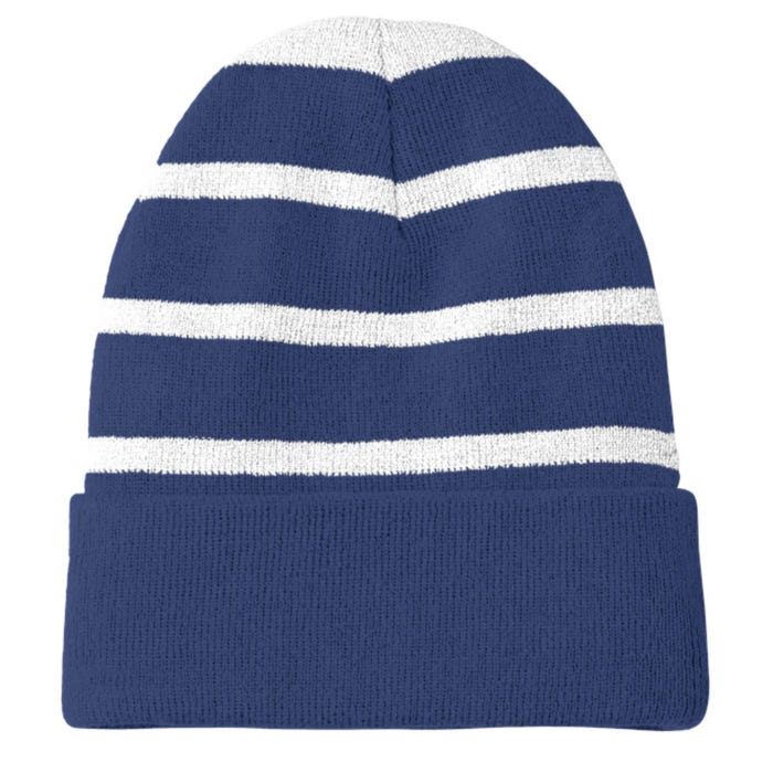 Recycle Reuse Renew Rethink Earth Day Environmental Activism Striped Beanie with Solid Band