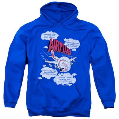 Airplane Picked the Wrong Day to Fly Hoodie