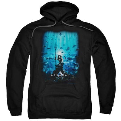 Aquaman Movie Main Poster Hoodie
