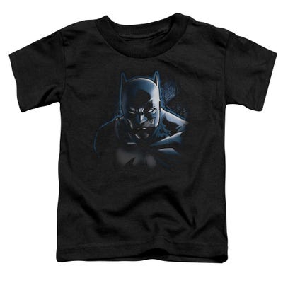Batman Dont Mess With The Bat Toddler T-Shirt