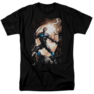 Batman Nightwing Against Owls T-Shirt