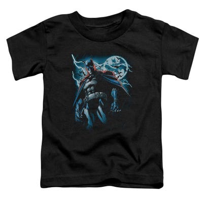 Batman Stormy Knight Toddler T-Shirt