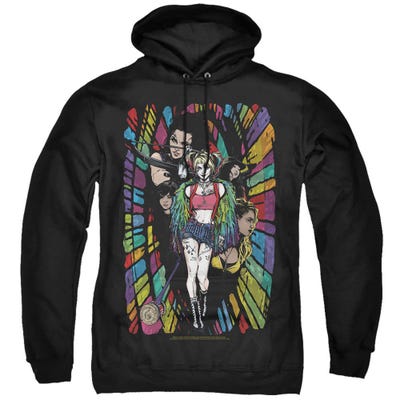 Birds of Prey Color Corridor Hoodie