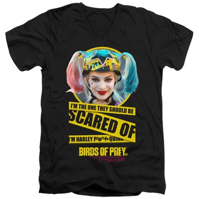 Birds of Prey Scared of	 V-Neck T-Shirt