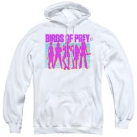Birds of Prey Silhouettes Hoodie