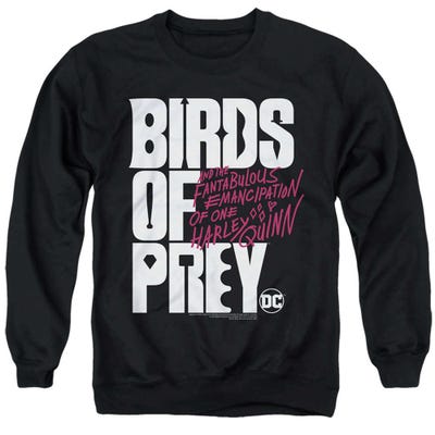 Birds of Prey Sweatshirt