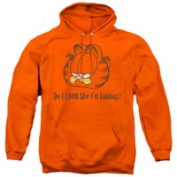 Garfield Do I Look Like Im Kidding Hoodie