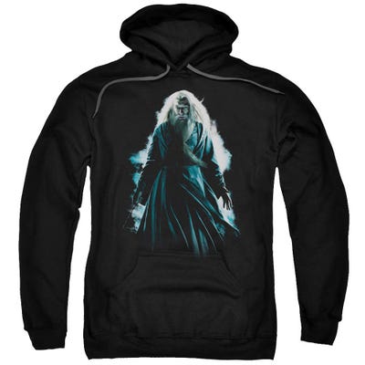 Harry Potter Dumbledore Burst Hoodie