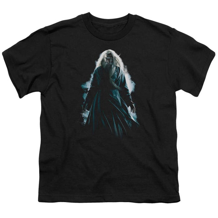 Harry Potter Dumbledore Burst Kids T-Shirt