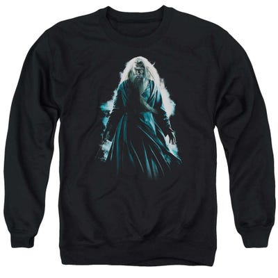 Harry Potter Dumbledore Burst Sweatshirt