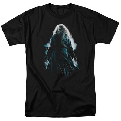 Harry Potter Dumbledore Burst T-Shirt