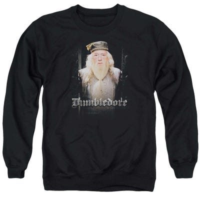 Harry Potter Dumbledore Doors Sweatshirt