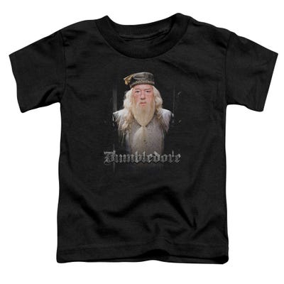 Harry Potter Dumbledore Doors Toddler T-Shirt