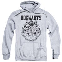 Harry Potter Hogwarts Sports Hoodie