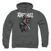 Raphael Teenage Mutant Ninja Turtles Official Hoodie