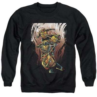  TMNT EARTHY RAINBOW WARRIORS Sweatshirt