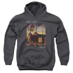 Pink Floyd Animals Faded Kids Hoodie