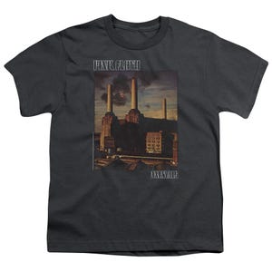 Pink Floyd Animals Faded Kids T-Shirt