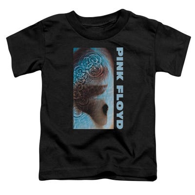 Pink Floyd Meddle Toddler T-Shirt