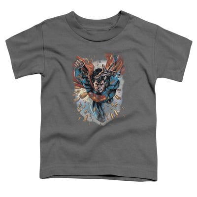 WITHIN MY GRASP SUPERMAN Toddler T-Shirt