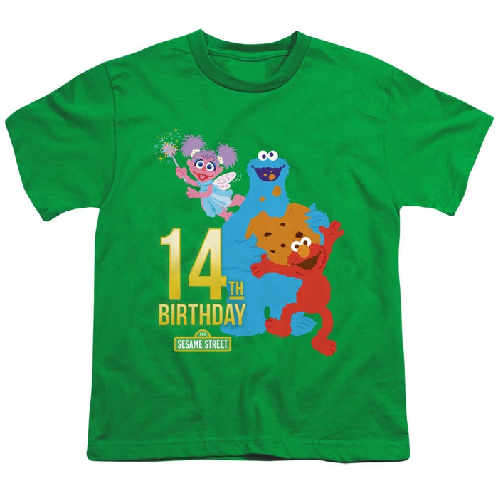 Sesame Street 14th Birthday Kids T-Shirt