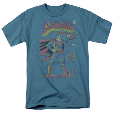 Superman And Bald Eagle T-Shirt