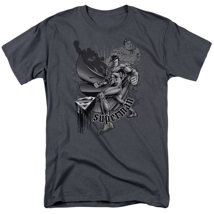 Superman Fight And Flight T-Shirt