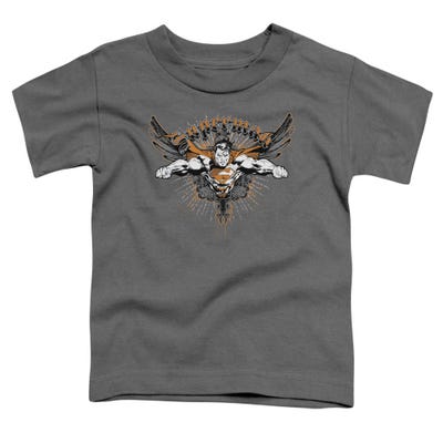 Superman Take Wing Toddler T-Shirt