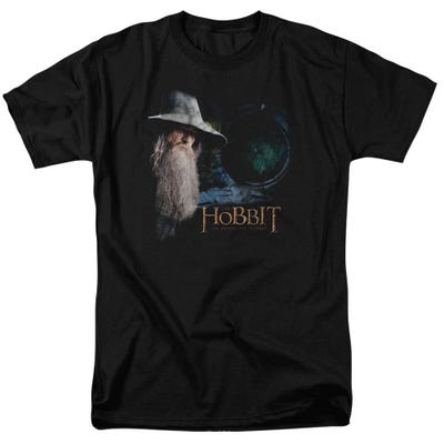 The Door The Hobbit T-Shirt