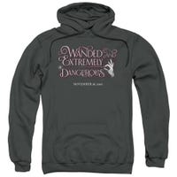 Wanded Fantastic Beasts and Where to Find Them Hoodie