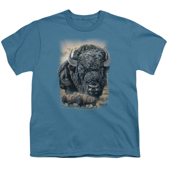 SUNSET BUFFALO Kids T-Shirt