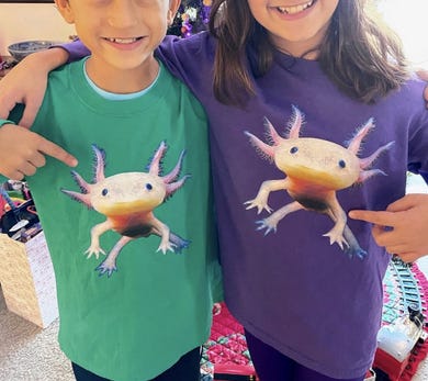 TeeShirtPalace Review