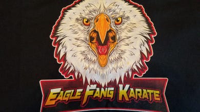 TeeShirtPalace Review